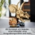 LEGO Jurassic World Dinosaurier-Fossilien: Triceratops-Schädel Modell, Dinosaurier Spielzeug für Jungen und Mädchen ab 9 Jahren, Geschenk für Kinder und Jurassic World Fans 76969 - 3