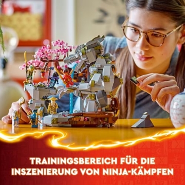 LEGO NINJAGO Drachenstein-Tempel Drachen-Spielzeug mit 6 Ninja-Figuren, großes Set zum Bauen, Spielen und Ausstellen, Geschenk zum Geburtstag für Jungs und Mädchen ab 13 Jahren 71819 - 4