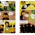 LEGO® NINJAGO® – Shatterspin: mit LEGO-Minifigur 