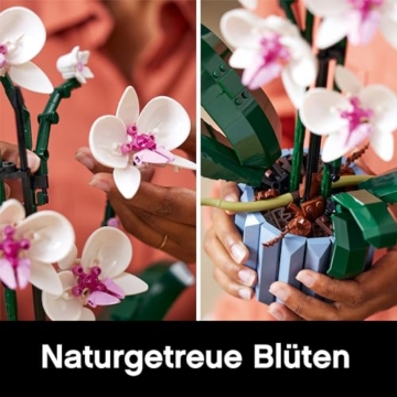 LEGO Orchidee 10311: LEGO Blumen Deko Set mit bedruckter Fliese - Klemmbausteine Blumenstrauß für Erwachsene aus der Botanical Collection, Orchideen Blume - 5