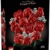 Lego Rosenstrauß 10328 - Lego Blumen als Deko für Erwachsene