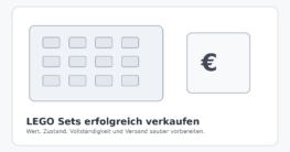 LEGO Sets für den Verkauf vorbereiten und Wert bestimmen