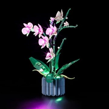 LIGHTAILING Licht-Set Für Lego-10311 Orchidee - Led-Beleuchtungsset Kompatibel Mit Lego Bausteinen Modell - Modell Set Nicht Enthalten - 2