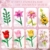 MITIZBLOX Blumen Bauspielzeugset, 765 Teile Rosa Rosen Flores Set, künstliches Blumen Spielzeug für Mädchen, Frauen, Erwachsene und Kinder ab 6 Jahren, Geschenkidee zu Valentinstag und Muttertag - 4