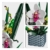 Mould King 10025 Orchidee