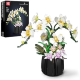 Mould King 24108 Botanicals Orchidee Modellbausatz für Erwachsene - Realistischer Phalaenopsis Deko für Zuhause & Büro - 1