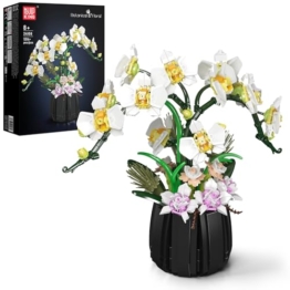 Mould King 24108 Botanicals Orchidee Modellbausatz für Erwachsene - Realistischer Phalaenopsis Deko für Zuhause & Büro - 1