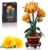 Mould King 24118 Klemmbausteine Pflanzen Blumen Chrysantheme Blumen Bausteine für Mädchen mit Vase Künstliche Blumenstrauß Bauspielzeug Kreatives Geschenk für Erwachsene(417 Teile) - 1