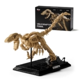 Nifeliz Velociraptor Fossilien Modell-Bausatz, Dekorative Dinosaurierskelett Klemmbausteine, eine ideale Geschenkidee für Dino-Fossilien-Liebhaber (498 Teile, NF10357) - 1