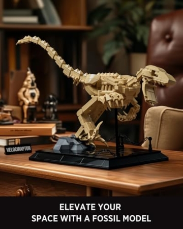Nifeliz Velociraptor Fossilien Modell-Bausatz, Dekorative Dinosaurierskelett Klemmbausteine, eine ideale Geschenkidee für Dino-Fossilien-Liebhaber (498 Teile, NF10357) - 3