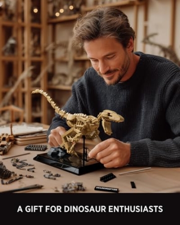 Nifeliz Velociraptor Fossilien Modell-Bausatz, Dekorative Dinosaurierskelett Klemmbausteine, eine ideale Geschenkidee für Dino-Fossilien-Liebhaber (498 Teile, NF10357) - 6