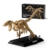 Nifeliz Velociraptor Fossilien Modell-Bausatz, Dekorative Dinosaurierskelett Klemmbausteine, eine ideale Geschenkidee für Dino-Fossilien-Liebhaber (498 Teile, NF10357) - 1