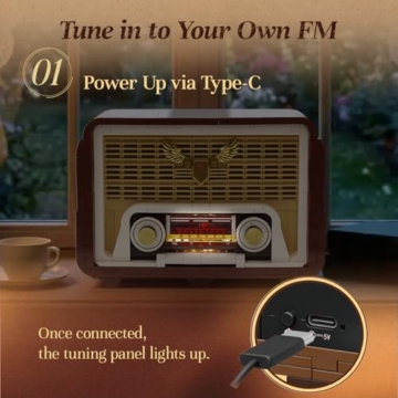 PANTASY Vintage Radio Klemmbaustein-Set für Erwachsene, Retro Radio Modell mit Lichtmodul und beweglichem Abstimmknopf, Handy-Lautsprecher Verstärker Elektronikstruktur, Deko Geschenk - 4