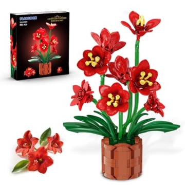 PLAXSOON Amaryllis Blumen – Zeitlose Blütenpracht