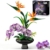 PLAXSOON Orchidee Blumen Bauset für Erwachsene, Botanische Kollektion Deko - 1