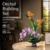 PLAXSOON Orchidee Blumen Bauset für Erwachsene, Botanische Kollektion Deko - 2