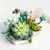 PROTOY Blumenstrauß Baustein Bauset, 389 Klemmbausteine Mini Bricks Blumen Set, Blume Nicht Kompatibel mit Lego Creator Expert Flower Bouquet - 3