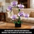 QGGQ Lila Orchidee Blumen Bausteine Bausatz, 619 Teile Künstliche Orchideen Blume Klemmbausteine Spielzeug für Erwachsene, Home Pflanzen Deko Set, Geschenke für Valentinstag und Muttertag - 3