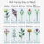 Sunerly 999 Teilige 14 Blumen Bausteine, 10280 Blumenstrauß Bausteine-Set, Kunstpflanzen für Erwachsene, künstliche Blumen zum Basteln Bausätze Geschenke, Geeignet Für Home Deko, Botanik Kollektion
