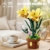 TYCOLE Botanisches Lilien-Bauset, künstliches Topfpflanzen-Bauset, DIY-Dekoblumen für Zuhause und als Geschenk, kompatibel mit gängigen Marken, für Kinder, Mädchen und Erwachsene ab 6 Jahren - 2