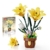 TYCOLE Botanisches Lilien-Bauset, künstliches Topfpflanzen-Bauset, DIY-Dekoblumen für Zuhause und als Geschenk, kompatibel mit gängigen Marken, für Kinder, Mädchen und Erwachsene ab 6 Jahren - 1