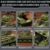 TYCOLE M4 Sherman Panzer Klemmbausteine Set, WW2 Militärmodell, 991 Teile - 4
