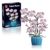 TYCOLE Orchideen Bausatz - 779 Künstliche Blumen Bausteine Botanicals Deko für Home Office, kreatives Geschenk für Kinder, Erwachsene und Jugendliche, Geburtstag, Weihnachten, Valentinstag - 1