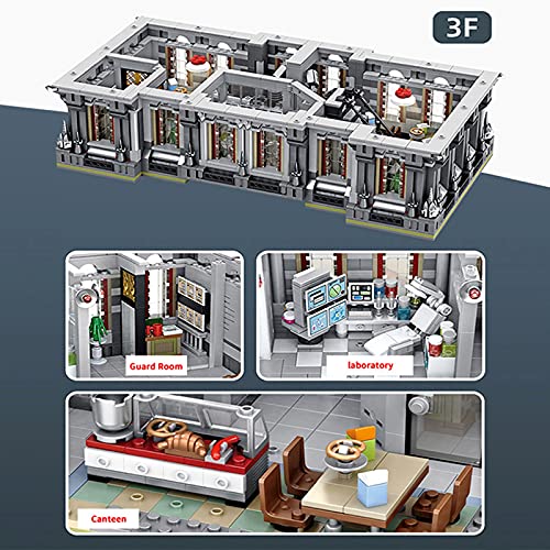 Panlos 613002 The Lunatic Hospital Irrenanstalt