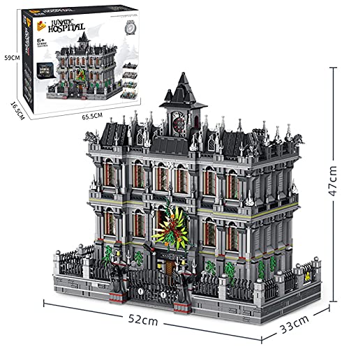 Panlos 613002 The Lunatic Hospital Irrenanstalt